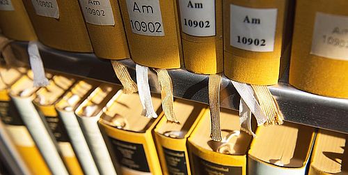 Deutsche Sprachwissenschaft