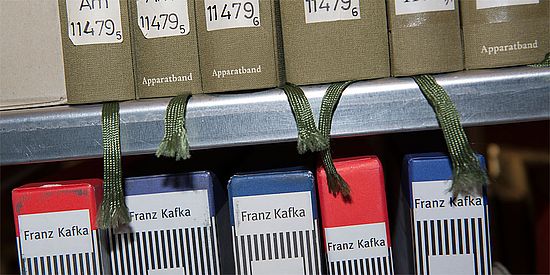 Deutsche Literaturwissenschaft