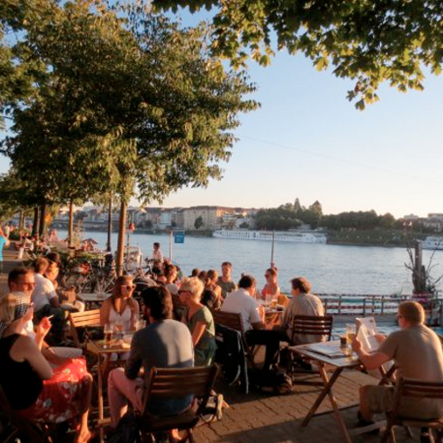 Language and society