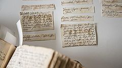 Mit 95'000 Wortartikeln wäre das «Deutschen Glossar» das grösste deutsche Wörterbuch des 18. Jahrhunderts geworden.