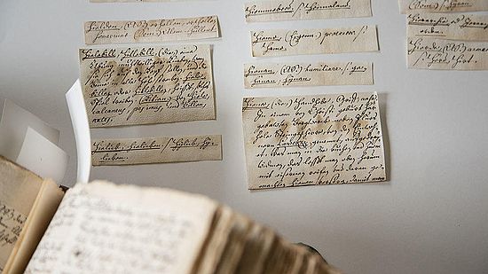 Mit 95'000 Wortartikeln wäre das «Deutschen Glossar» das grösste deutsche Wörterbuch des 18. Jahrhunderts geworden.